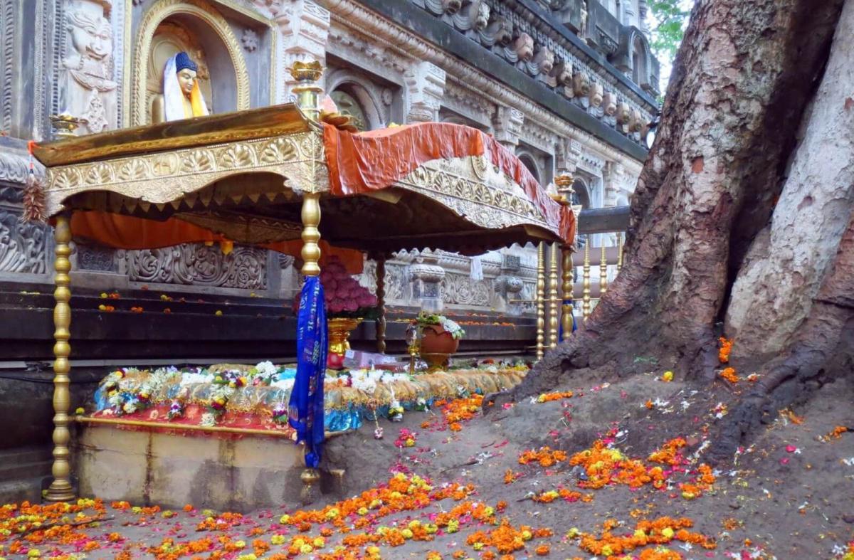 1-08 สัตตมหาสถาน ๗ | เสวยวิมุตติสุข สัปดาห์ที่ ๑ | รัตนบัลลังก์ ควงไม้โพธิพฤกษ์ 1-08 สัตตมหาสถาน ๗ | เสวยวิมุตติสุข สัปดาห์ที่ ๑ | รัตนบัลลังก์ ควงไม้โพธิพฤกษ์