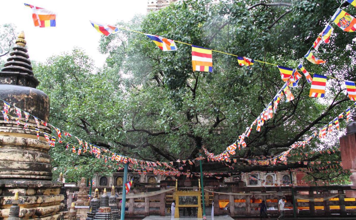 1-08 สัตตมหาสถาน ๗ | เสวยวิมุตติสุข สัปดาห์ที่ ๑ | รัตนบัลลังก์ ควงไม้โพธิพฤกษ์ 1-08 สัตตมหาสถาน ๗ | เสวยวิมุตติสุข สัปดาห์ที่ ๑ | รัตนบัลลังก์ ควงไม้โพธิพฤกษ์