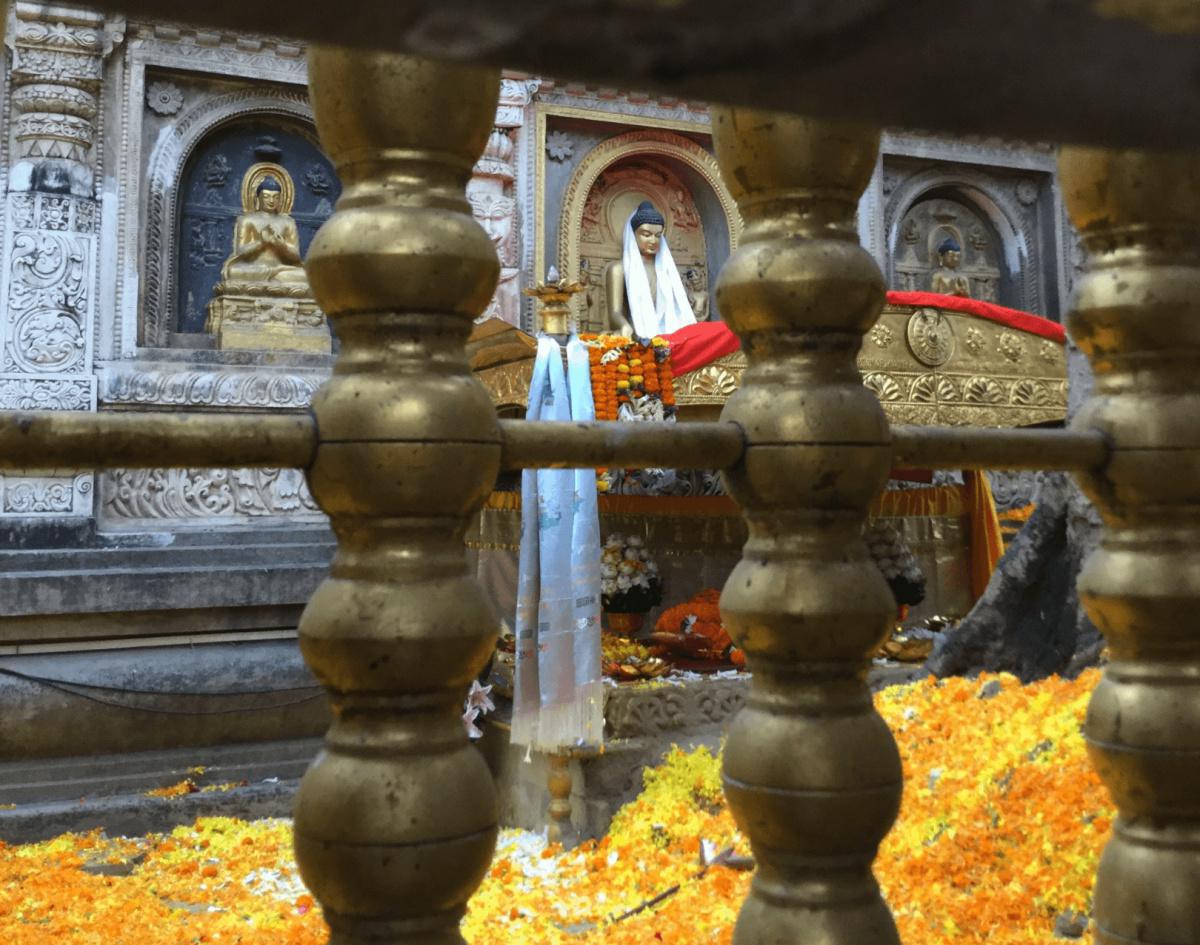 1-15 ทรงพิจารณาสัตว์โลกเปรียบด้วยดอกบัว 1-15 ทรงพิจารณาสัตว์โลกเปรียบด้วยดอกบัว