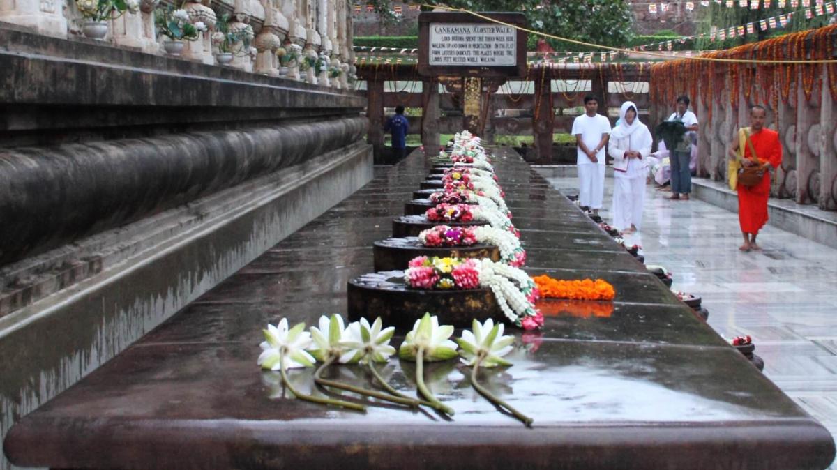 1-15 ทรงพิจารณาสัตว์โลกเปรียบด้วยดอกบัว 1-15 ทรงพิจารณาสัตว์โลกเปรียบด้วยดอกบัว