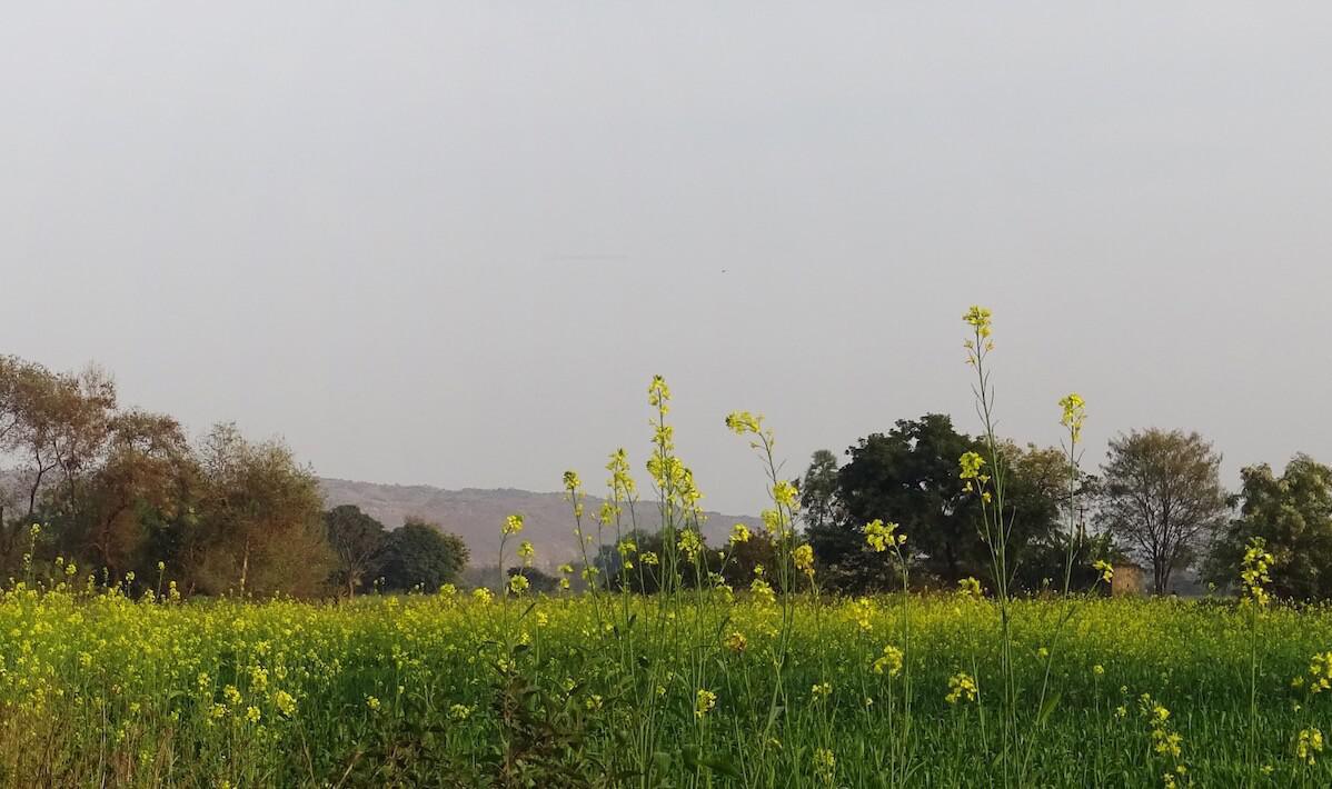 1-22 ทรงโปรดสหายภัททวัคคีย์ 1-22 ทรงโปรดสหายภัททวัคคีย์