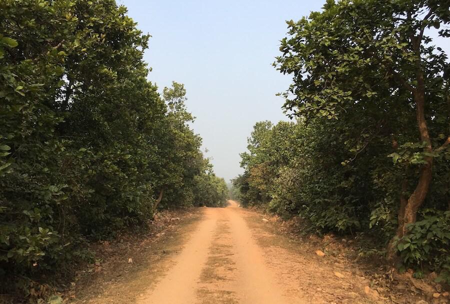 1-26 ท้าวสักกะกล่าวคาถาสดุดีพระผู้มีพระภาค 1-26 ท้าวสักกะกล่าวคาถาสดุดีพระผู้มีพระภาค