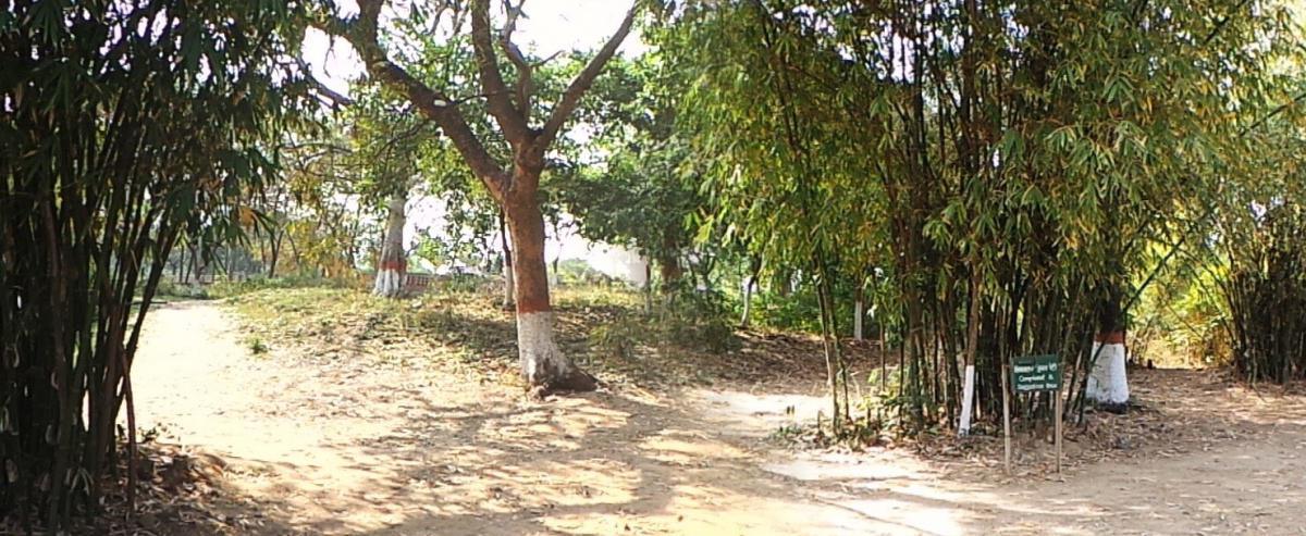 1-27 พระเจ้าพิมพิสารถวายสวนเวฬุวัน 1-27 พระเจ้าพิมพิสารถวายสวนเวฬุวัน