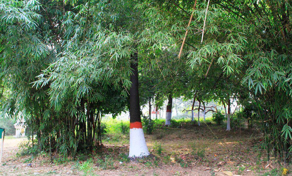 1-27 พระเจ้าพิมพิสารถวายสวนเวฬุวัน 1-27 พระเจ้าพิมพิสารถวายสวนเวฬุวัน