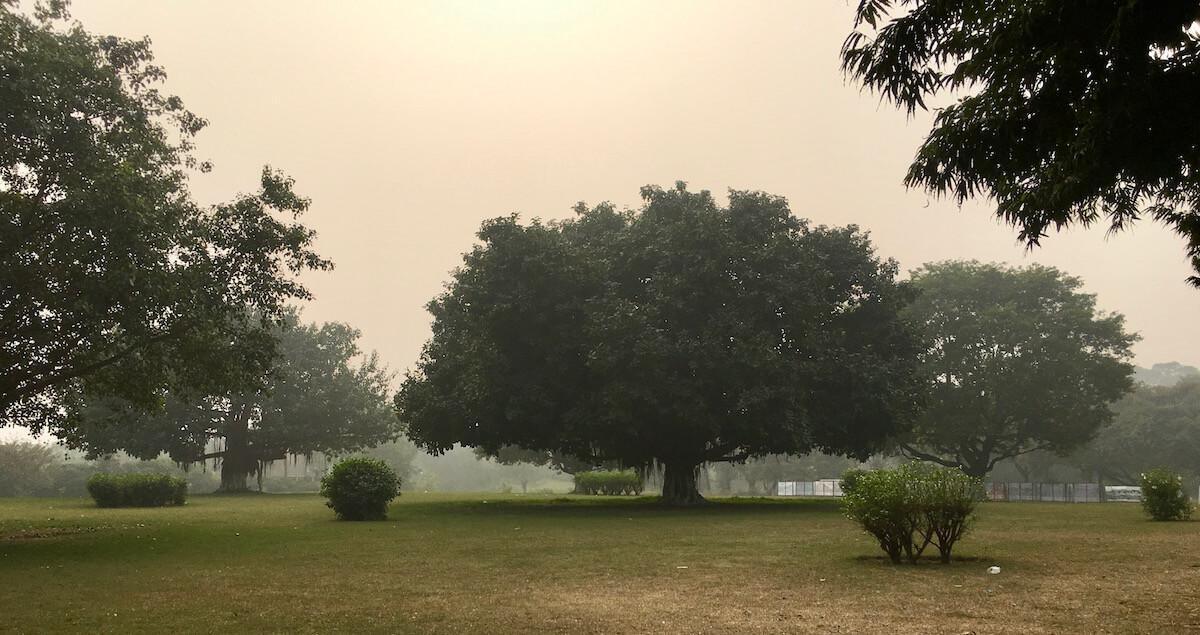 1-30 สารีบุตรและโมคคัลลานะปริพาชกอุปสมบท 1-30 สารีบุตรและโมคคัลลานะปริพาชกอุปสมบท