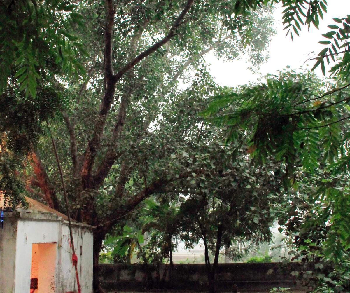 1-45 พระผู้มีพระภาคให้โอวาทพระราหุล - การพิจารณาและชำระกรรม ๓ 1-45 พระผู้มีพระภาคให้โอวาทพระราหุล - การพิจารณาและชำระกรรม ๓