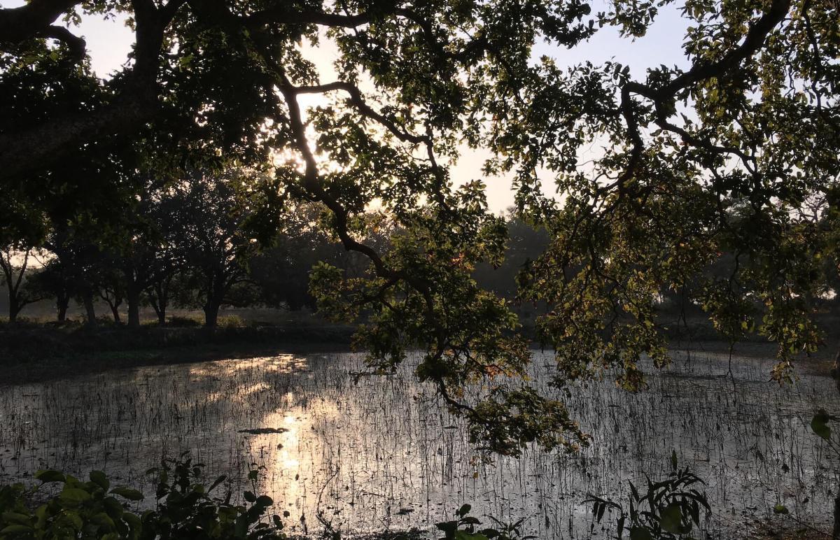 1-39 เจ้าชายนันทะบรรพชา 1-39 เจ้าชายนันทะบรรพชา