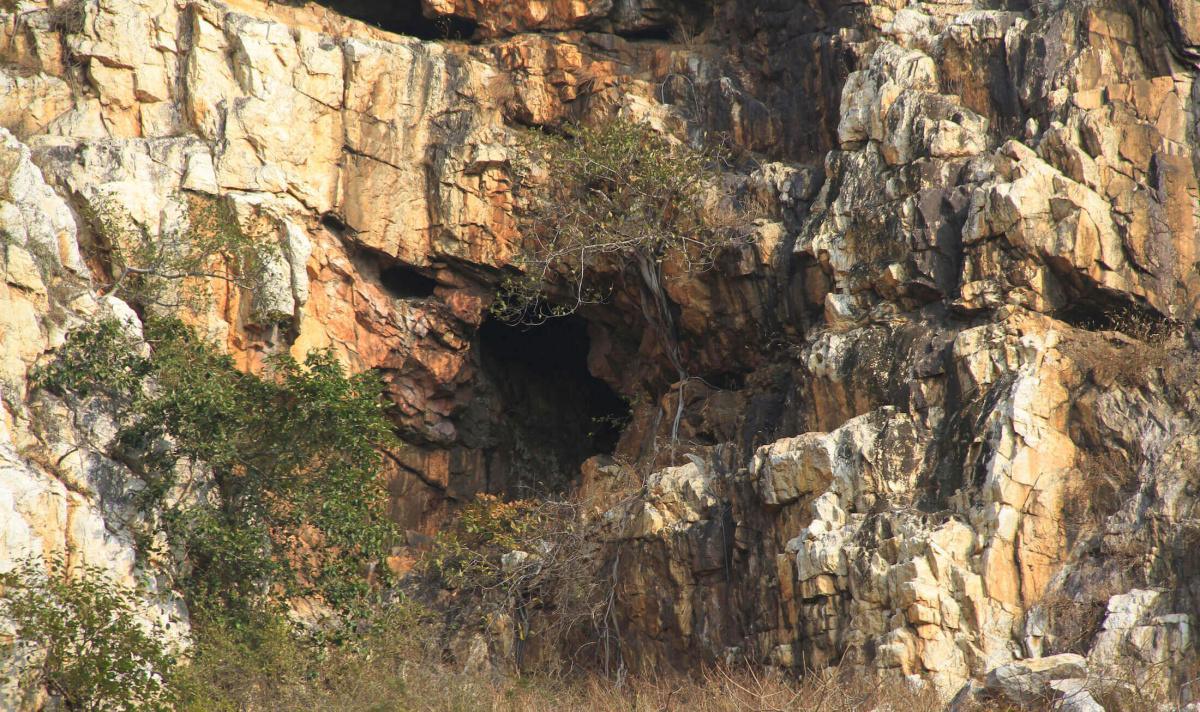 3-02 ท้าวสักกะและเทวดาเข้าเฝ้าพระพุทธเจ้า ณ ถ้ำอินทสาละ 3-02 ท้าวสักกะและเทวดาเข้าเฝ้าพระพุทธเจ้า ณ ถ้ำอินทสาละ