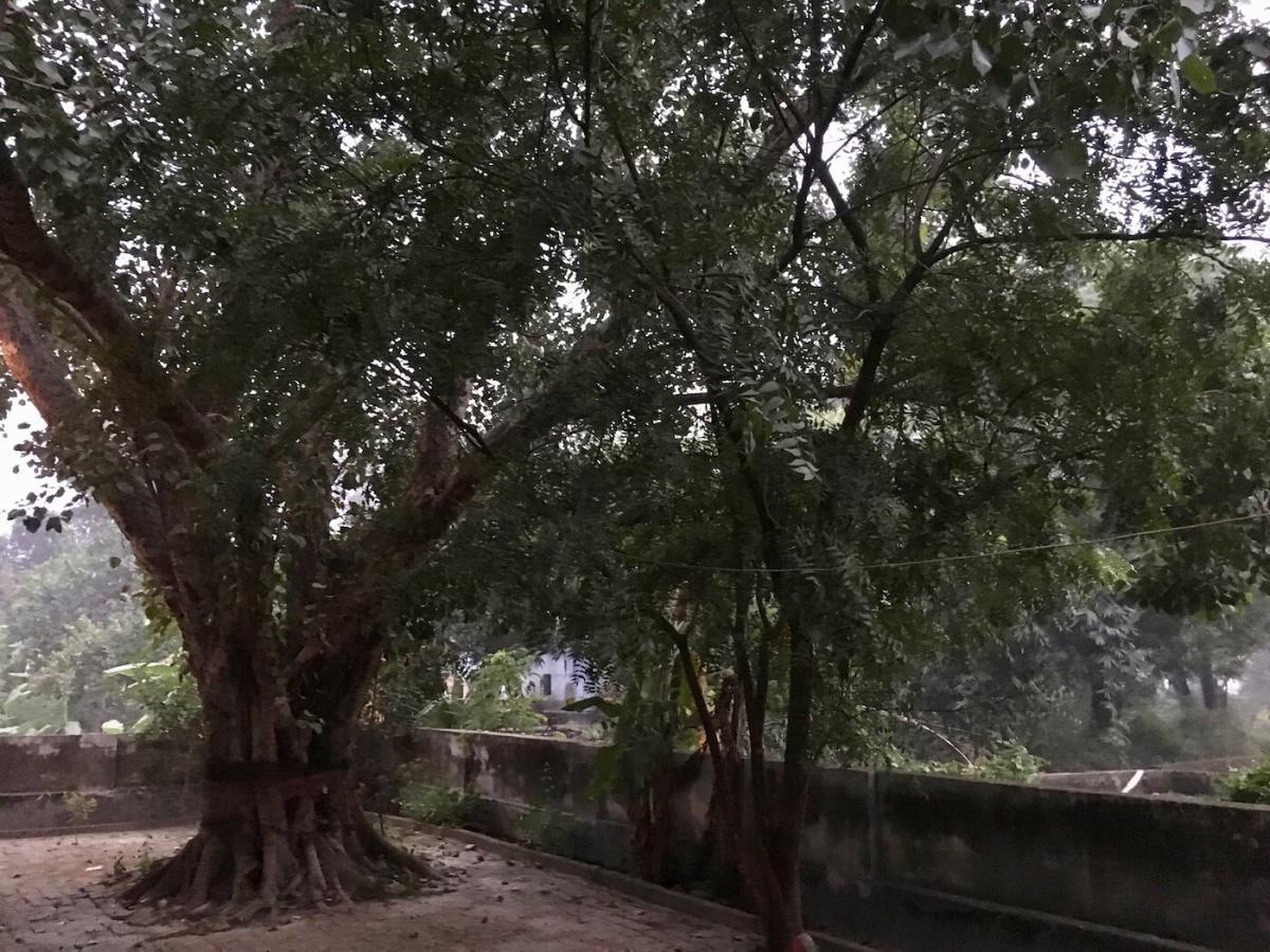 45-06 เสด็จพระราชอุทยานอัมพลัฏฐิกา 45-06 เสด็จพระราชอุทยานอัมพลัฏฐิกา