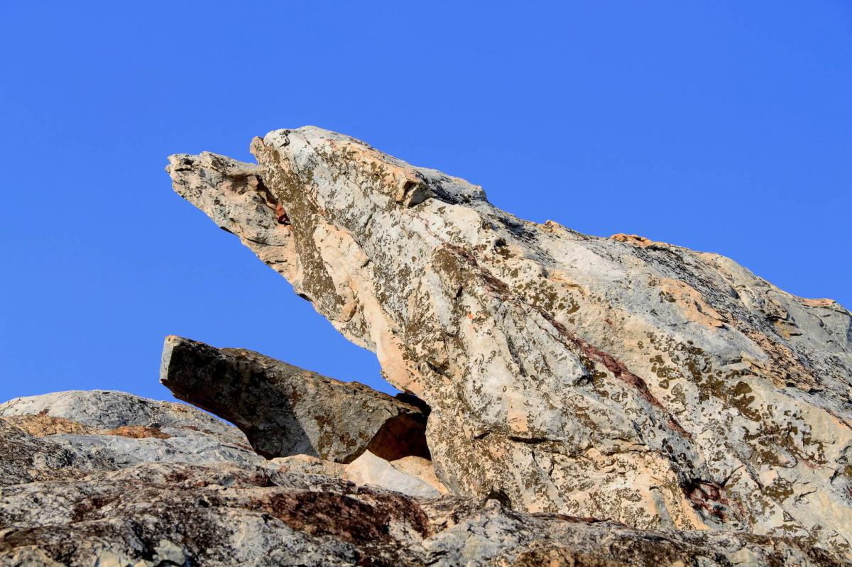 45-29 ทรงแสดงวิโมกข์ ๘ 45-29 ทรงแสดงวิโมกข์ ๘