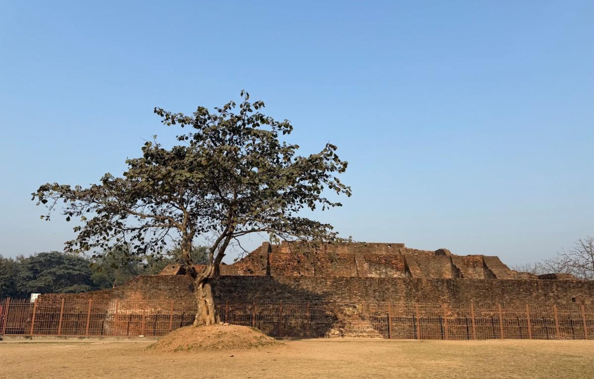 5-13 บุพกรรมและการบรรลุธรรมของพระภัททชิเถระ