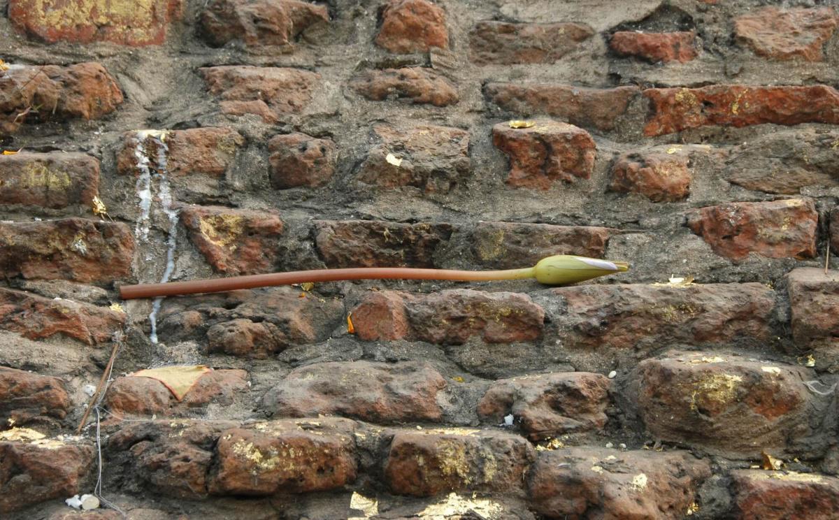 45-47 วิธีปฏิบัติในพระพุทธสรีระ 45-47 วิธีปฏิบัติในพระพุทธสรีระ