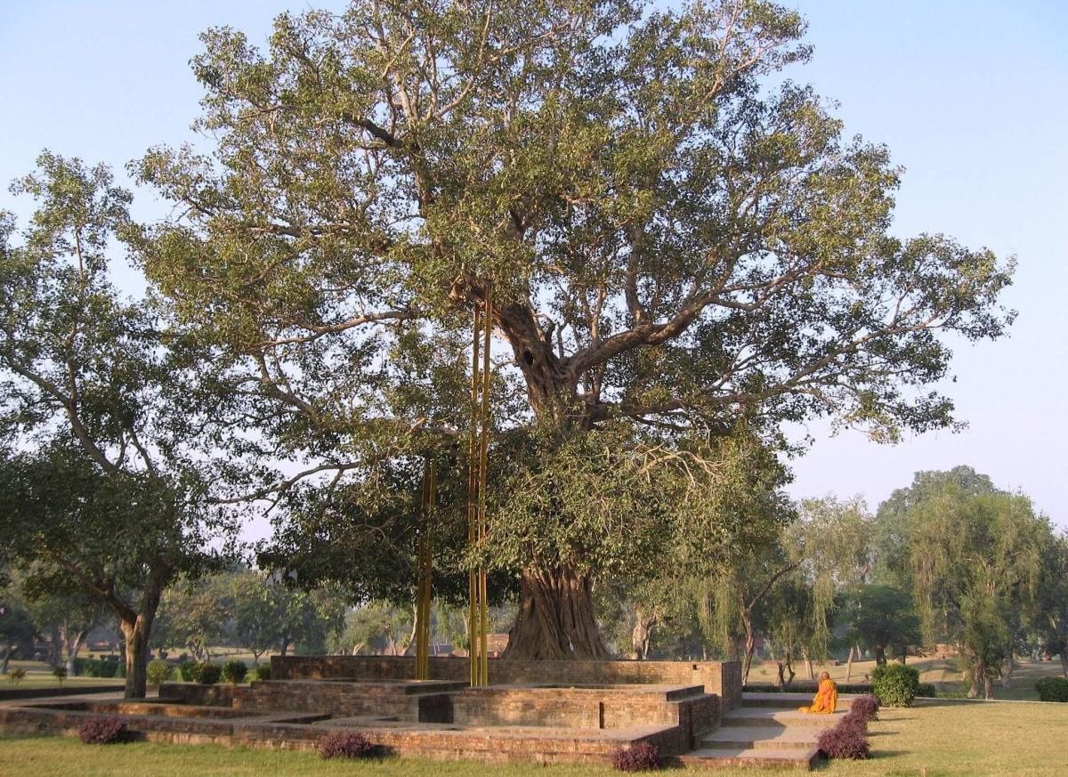 45-50 ทรงสรรเสริญพระอานนท์ 45-50 ทรงสรรเสริญพระอานนท์