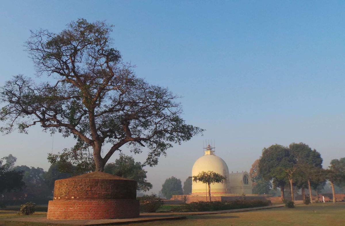 45-54 ทรงแสดงธรรมแก่สุภัททปริพพาชก 45-54 ทรงแสดงธรรมแก่สุภัททปริพพาชก