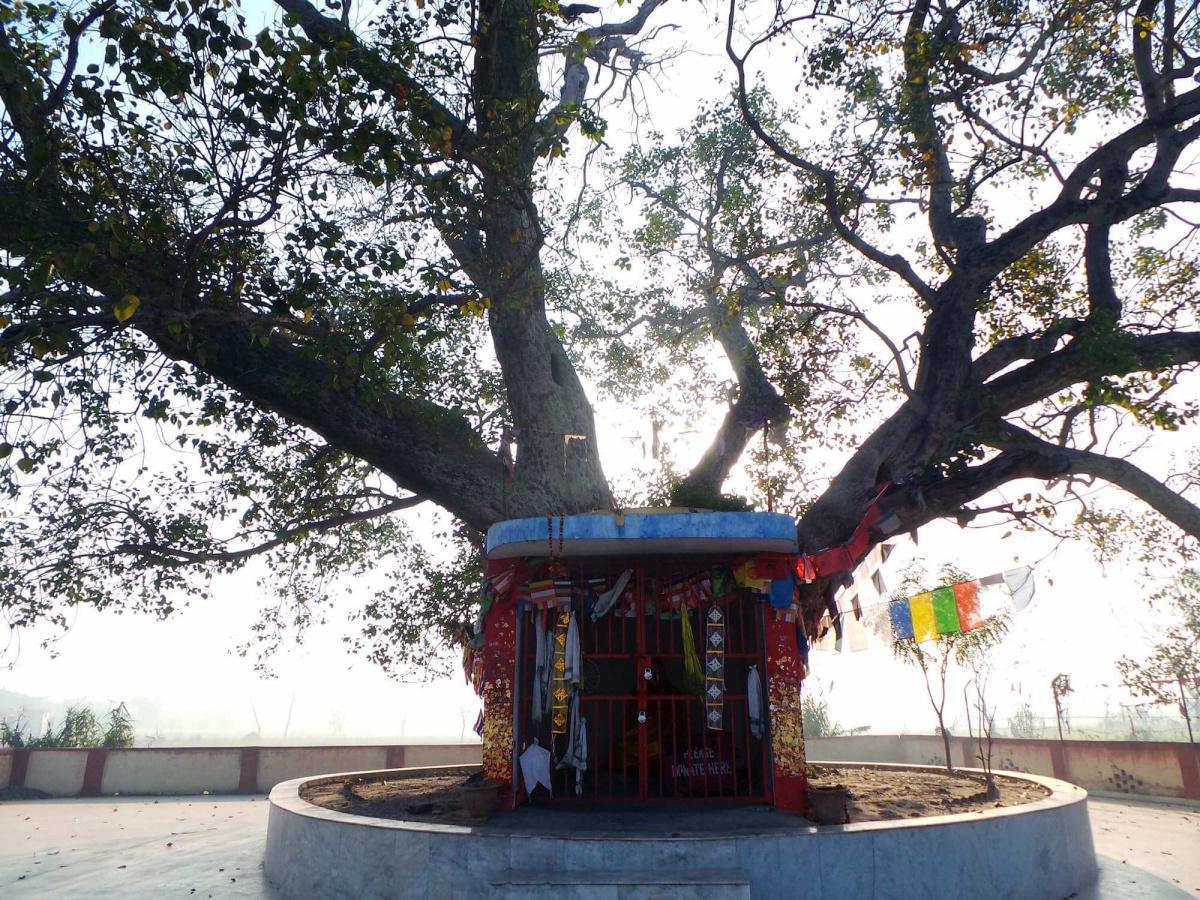 45-67 โทณพราหมณ์แบ่งพระสรีระธาตุ 45-67 โทณพราหมณ์แบ่งพระสรีระธาตุ