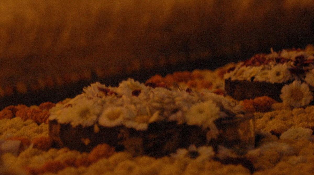 1-07 คืนตรัสรู้ 1-07 คืนตรัสรู้