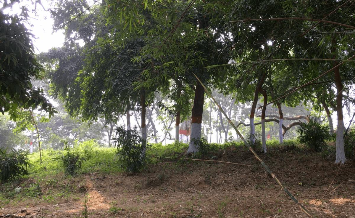 17-4 พระผู้มีพระภาคทรงเยี่ยมไข้พระวักกลิ 17-4 พระผู้มีพระภาคทรงเยี่ยมไข้พระวักกลิ