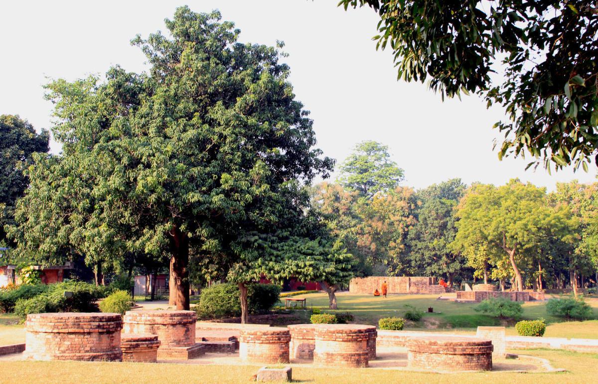 14-01 โอวาทที่ทรงให้พระราหุลเนือง ๆ 14-01 โอวาทที่ทรงให้พระราหุลเนือง ๆ