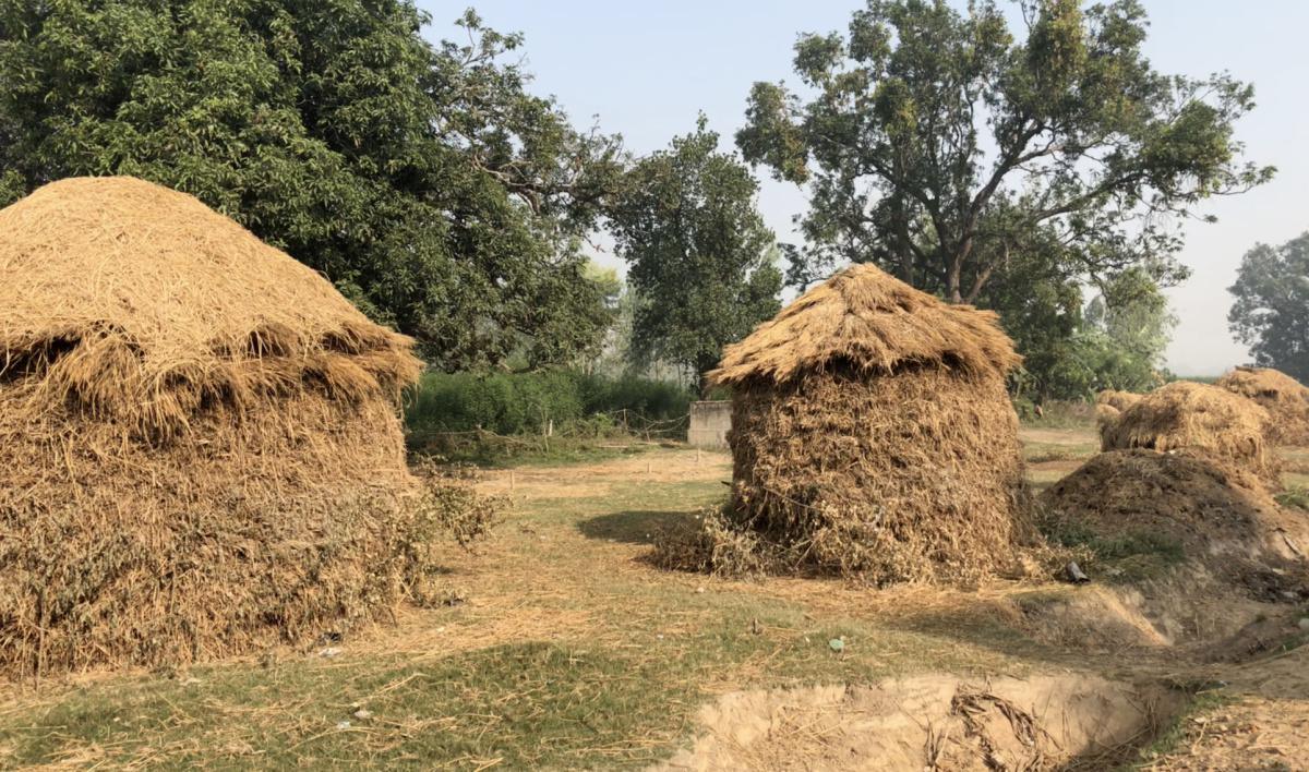 14-03 นางวิสาขาแต่งงาน 14-03 นางวิสาขาแต่งงาน