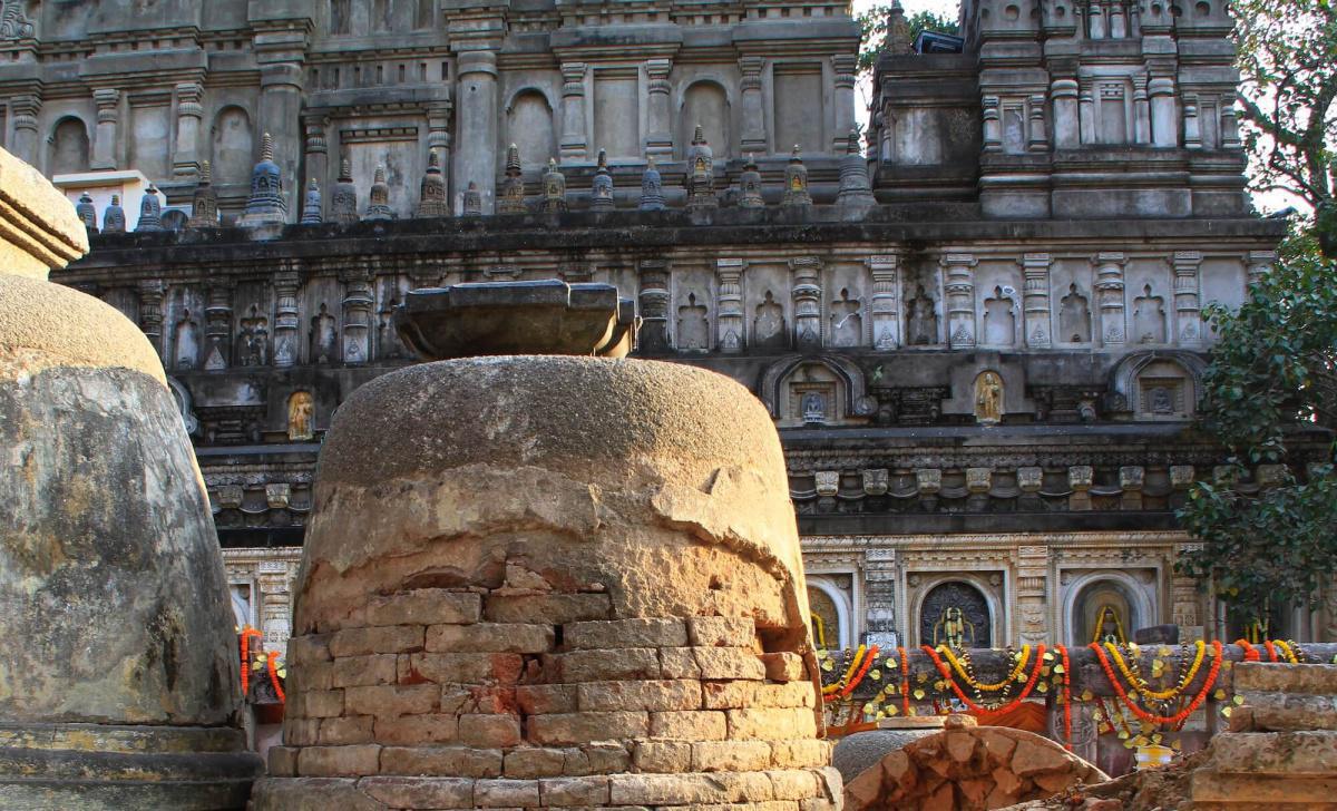 4-13 ผันทนชาดก - การผูกเวรของหมีและไม้ตะคร้อ 4-13 ผันทนชาดก - การผูกเวรของหมีและไม้ตะคร้อ