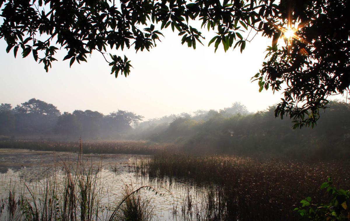 4-16 รุกขธรรมชาดก - ต้นไม้โดดเดี่ยวย่อมแพ้ลม 4-16 รุกขธรรมชาดก - ต้นไม้โดดเดี่ยวย่อมแพ้ลม