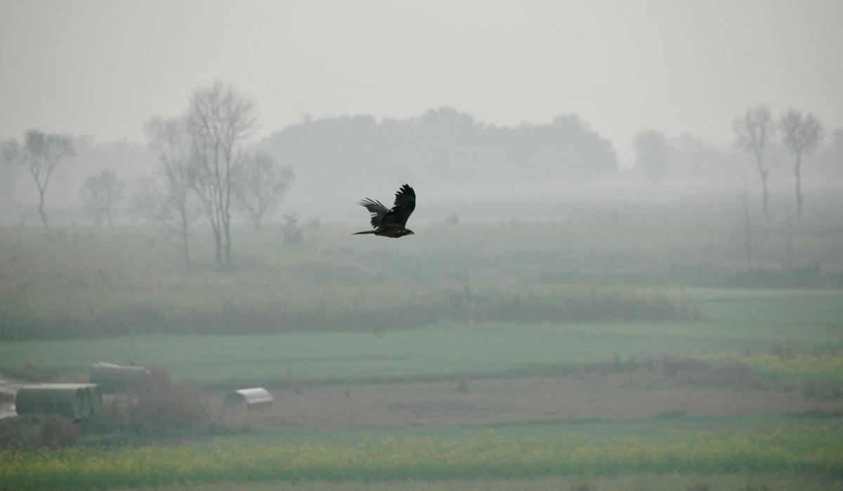 4-20 ภิกษุราชกุมาร ๕๐๐ รูป บรรลุโสดาปัตติผล 4-20 ภิกษุราชกุมาร ๕๐๐ รูป บรรลุโสดาปัตติผล