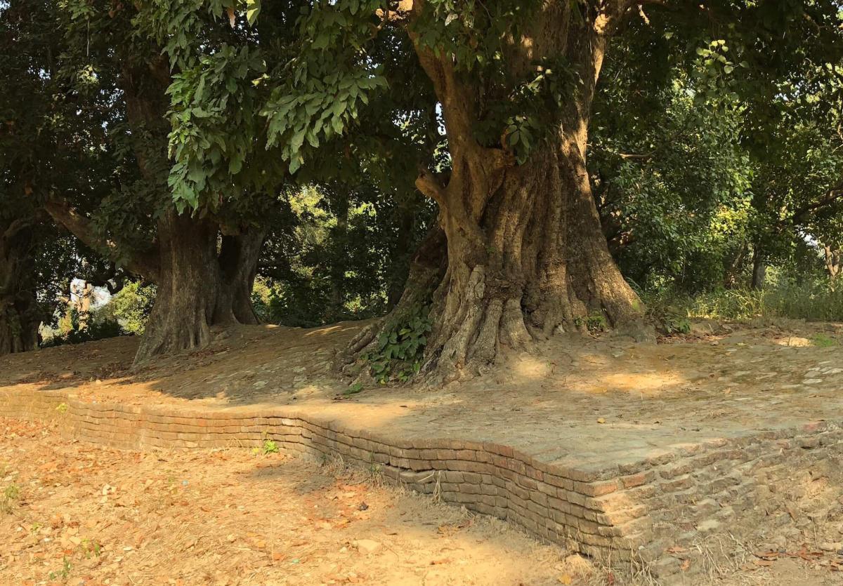 4-32 มหาสมัยสูตร เป็นที่รักที่ชอบใจของพวกเทวดา 4-32 มหาสมัยสูตร เป็นที่รักที่ชอบใจของพวกเทวดา