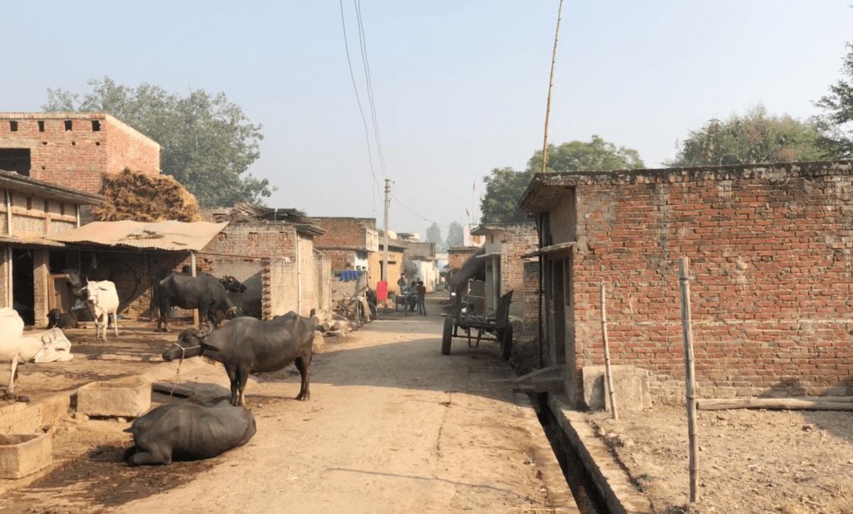 29-14 พระสารีบุตรสังคายนาธรรม 29-14 พระสารีบุตรสังคายนาธรรม