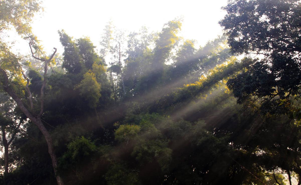 21-41 ทรงบอกให้ภิกษุสำคัญในโลกุตตระธรรมว่าควรศึกษา 21-41 ทรงบอกให้ภิกษุสำคัญในโลกุตตระธรรมว่าควรศึกษา