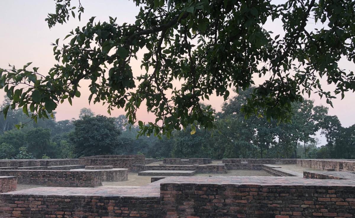 39-01 สัตว์ที่กลับมาเกิดเป็นมนุษย์มีประมาณน้อย 39-01 สัตว์ที่กลับมาเกิดเป็นมนุษย์มีประมาณน้อย