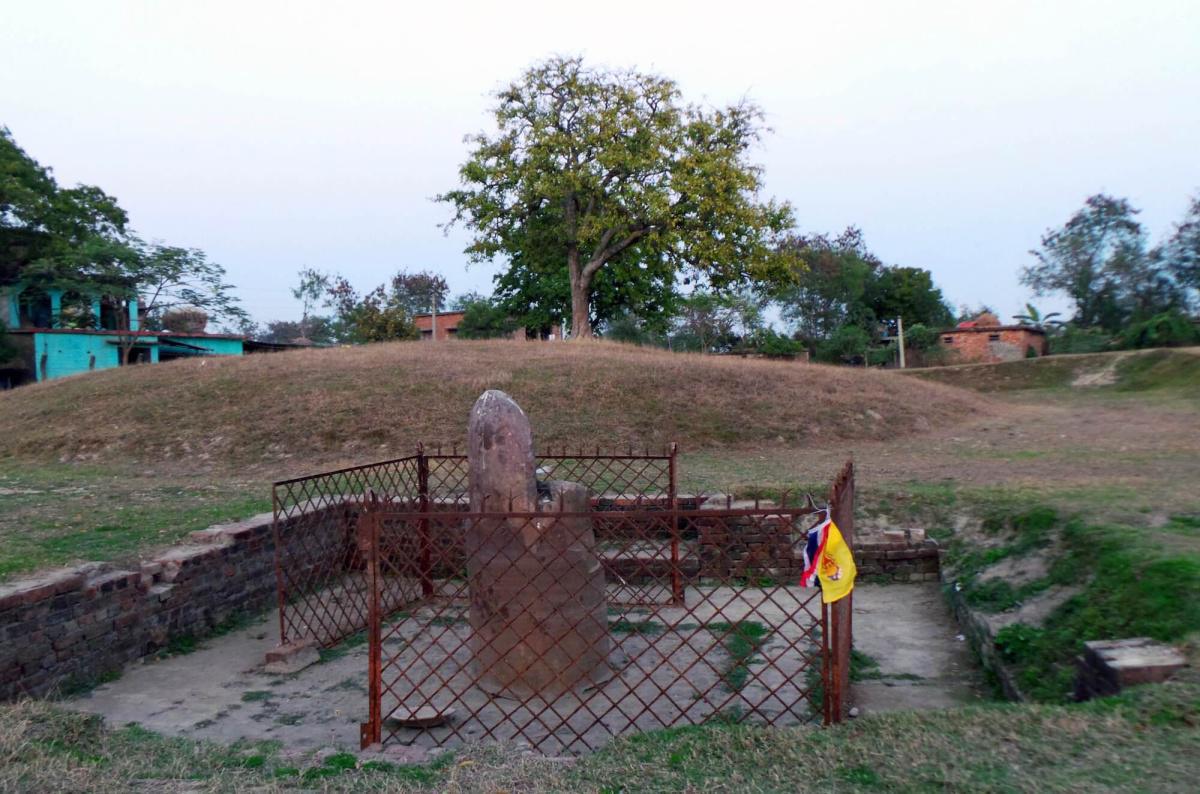 44-02 พระเจ้าปเสนทิโกศลสรรเสริญพระผู้มีพระภาคด้วยพระวาจาเคารพธรรม 44-02 พระเจ้าปเสนทิโกศลสรรเสริญพระผู้มีพระภาคด้วยพระวาจาเคารพธรรม