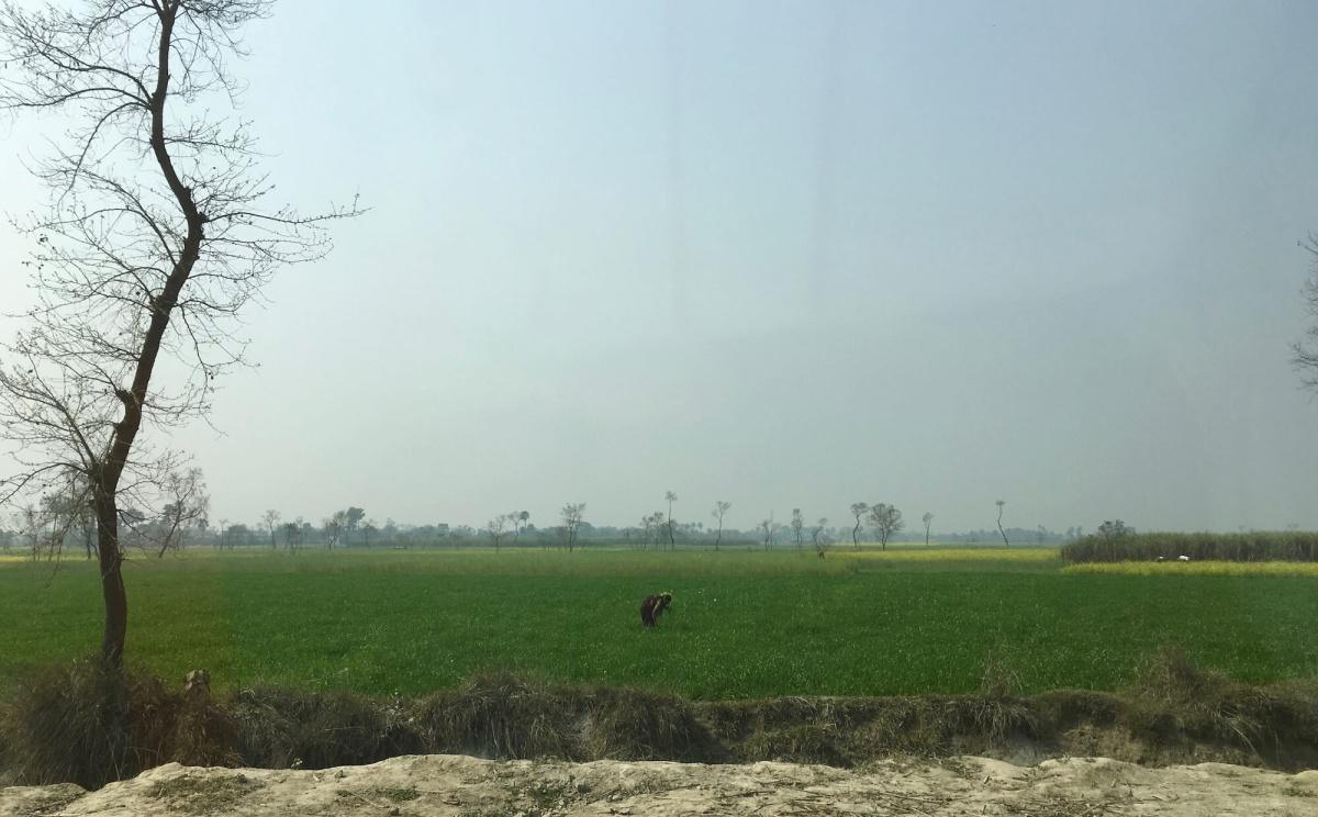 46-17 พระยสกากัณฑกบุตรปุจฉาวัตถุ ๑๐ ประการกับพระเรวตะเถระ 46-17 พระยสกากัณฑกบุตรปุจฉาวัตถุ ๑๐ ประการกับพระเรวตะเถระ