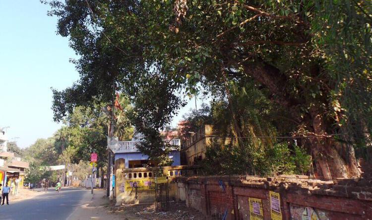 1-16 ระหว่างแม่น้ำคยาและไม้โพธิพฤกษ์ ทรงพบอุปกาชีวก