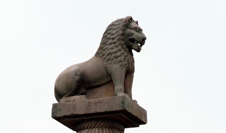 45-27 ทรงแสดงบริษัท ๘