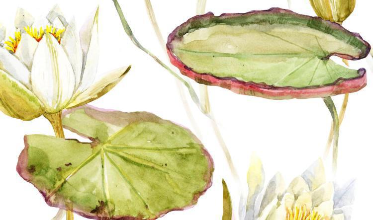 มหานามสูตร - อนุสติของพระอริยสาวก