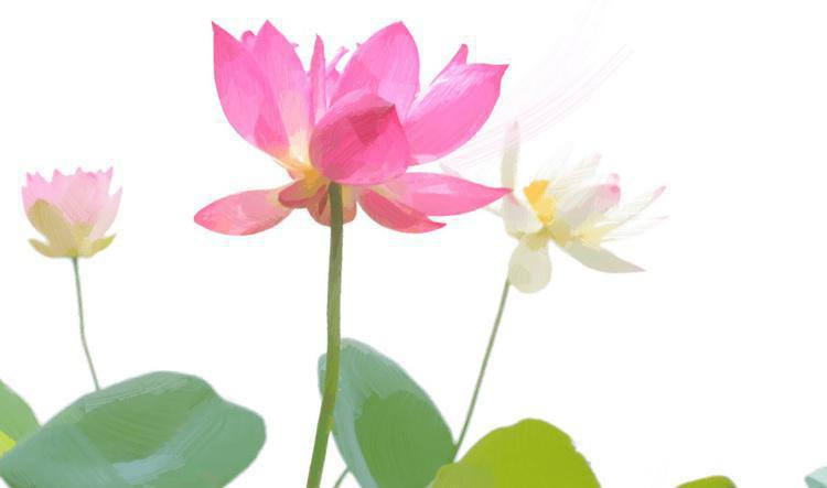 วิสาขาสูตร - รักมีเท่าไร ทุกข์ก็มีเท่านั้น