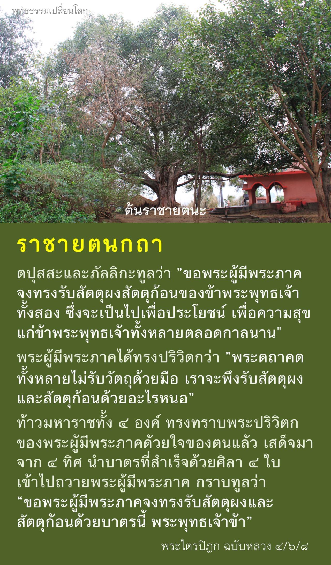 ราชายตนกถา