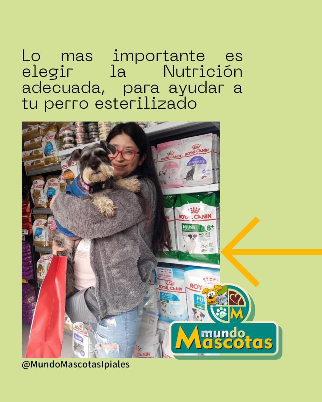 Mundo Mascotas Mundo Mascotas