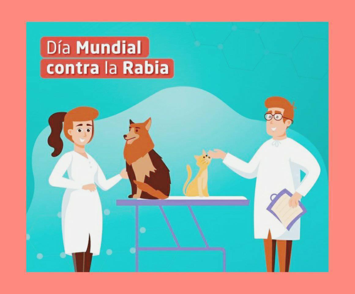 Mundo Mascotas Mundo Mascotas