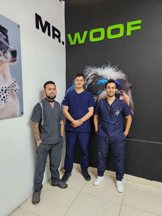 Clínica Veterinaria Mr. Woof Clínica Veterinaria Mr. Woof