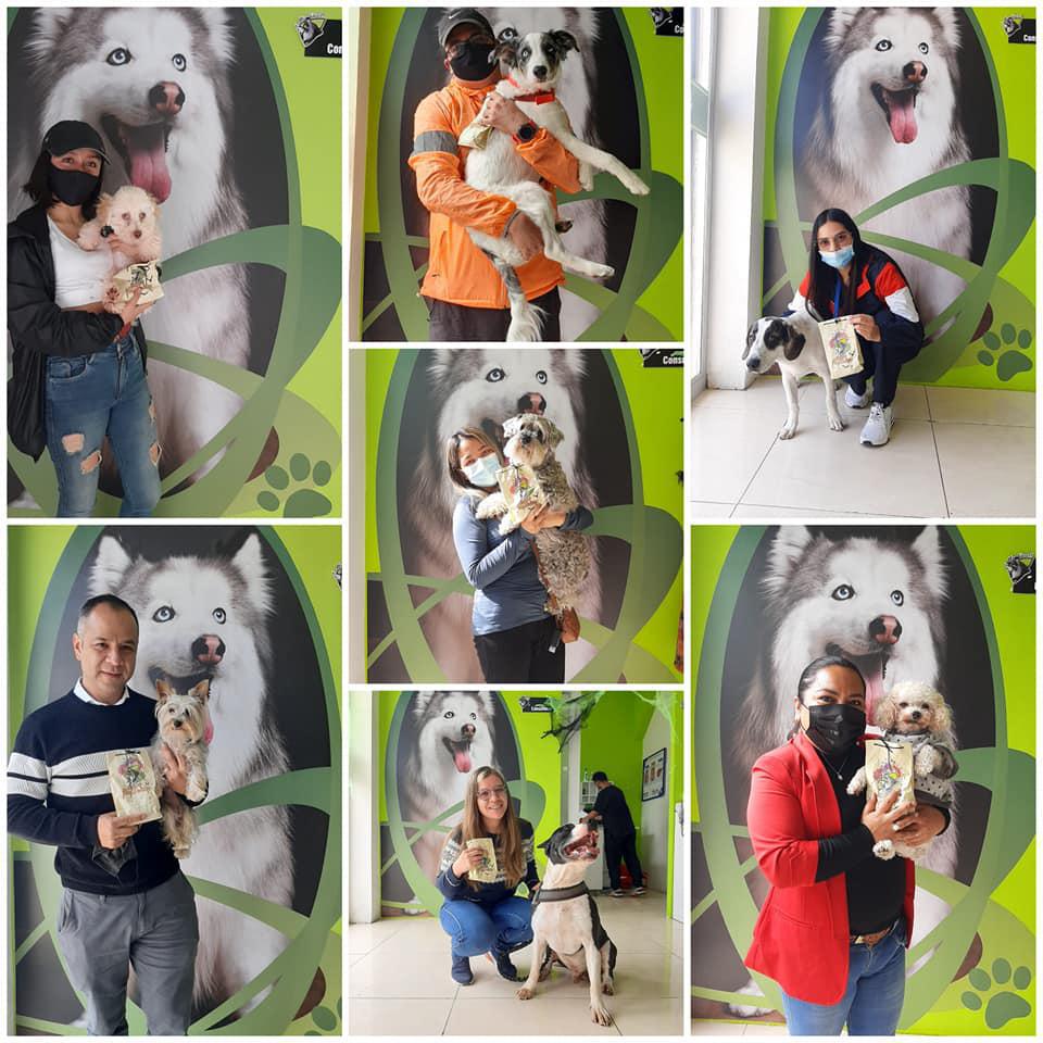 Clínica Veterinaria Mr. Woof Clínica Veterinaria Mr. Woof