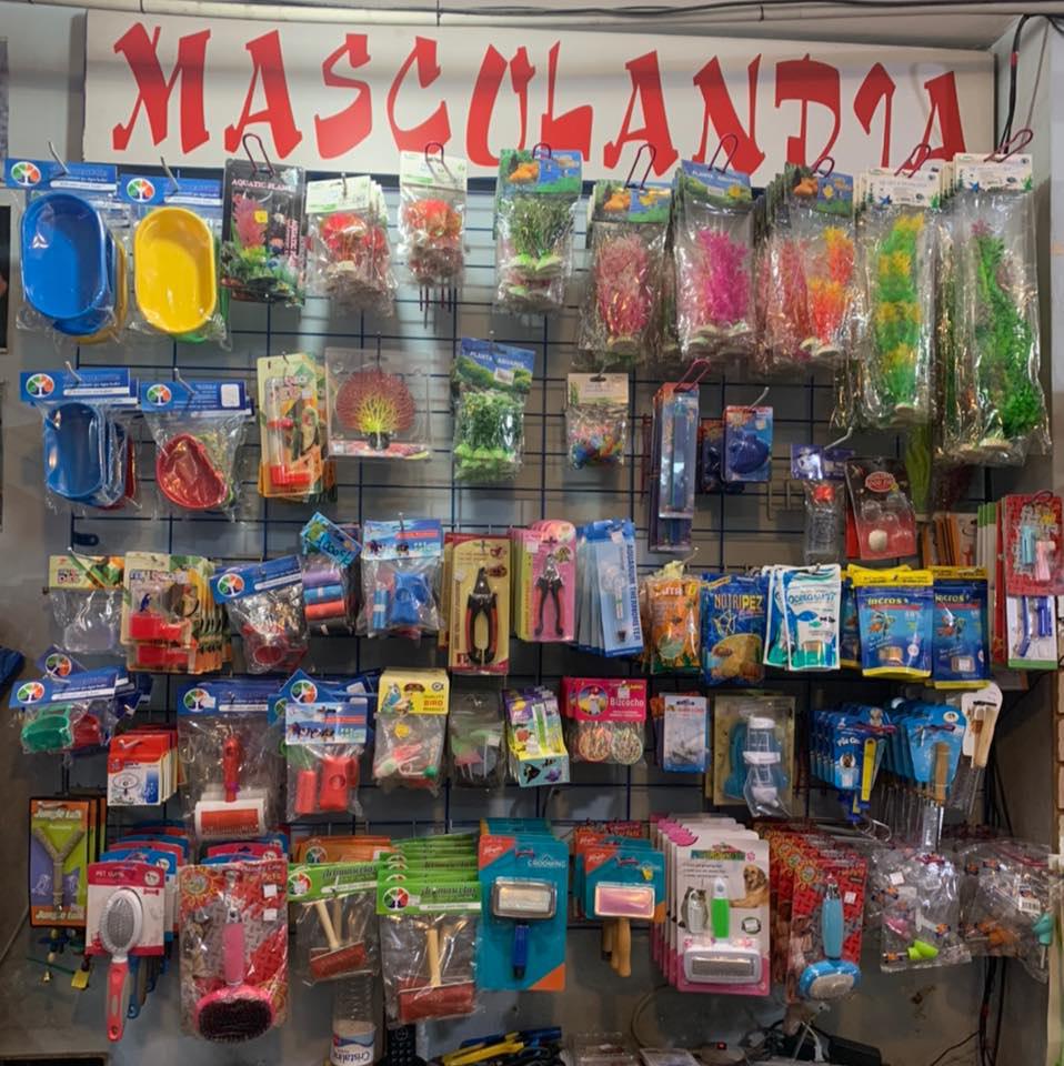 Mascolandia Mascolandia