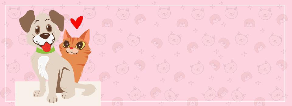 Patitas Pet Shop Patitas Pet Shop