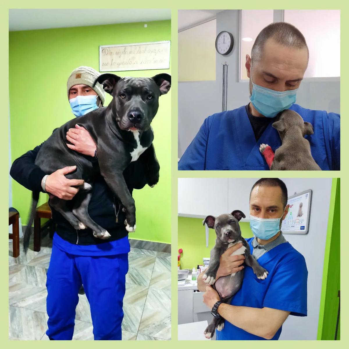 Zooles Veterinaria Zooles Veterinaria