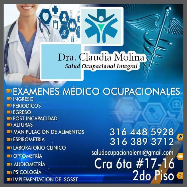 Dra. Claudia Fernanda Molina M. Salud Ocupacional Integral Dra. Claudia Fernanda Molina M. Salud Ocupacional Integral