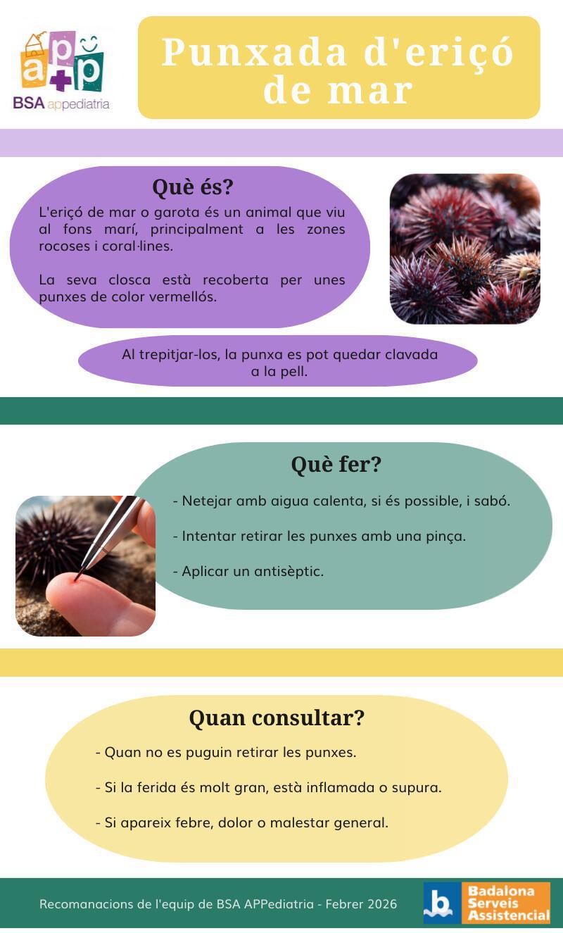 Picada d'eriçó de mar