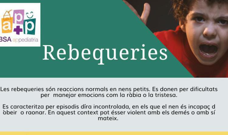 Rebequeries