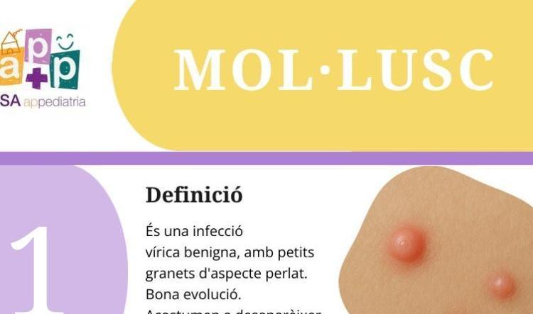 té mol·lusc