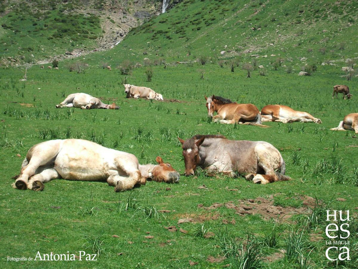 Parque Nacional de Ordesa y Monte Perdido Parque Nacional de Ordesa y Monte Perdido