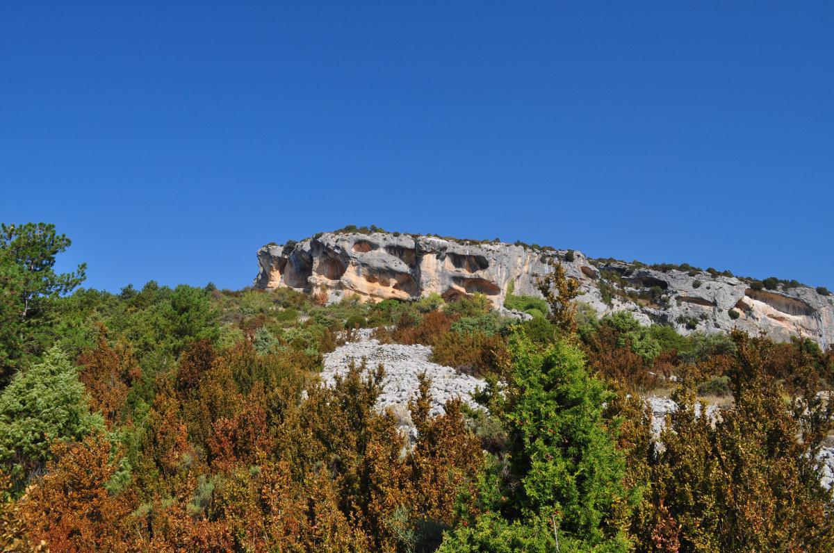 Ruta del Arte Rupuestre Ruta del Arte Rupuestre